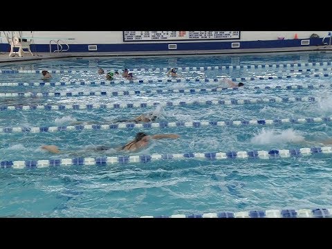 Champlin Park Girls Swimming Starts Strong Ccx Media