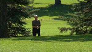 Hollydale golf