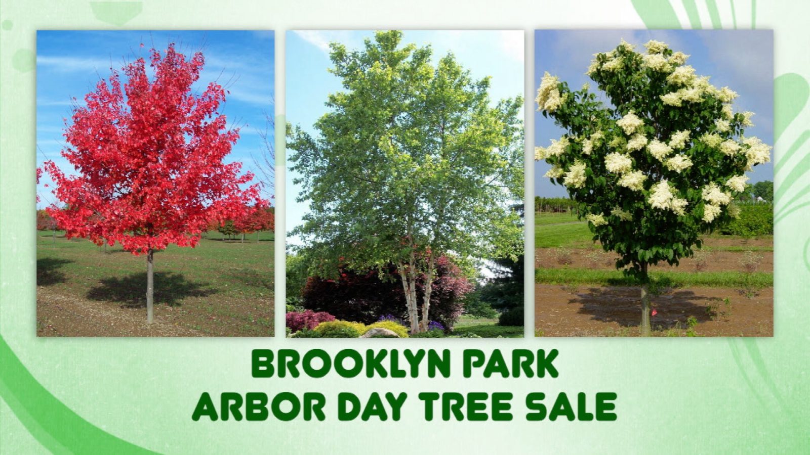 Brooklyn Park Arbor Day Tree Sale