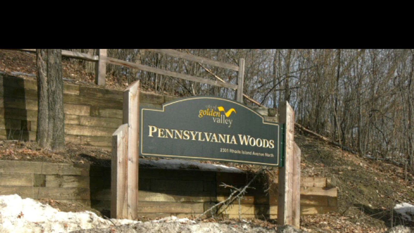 Golden Valley Wins Grant to Remove Buckthorn from Pennsylvania Woods