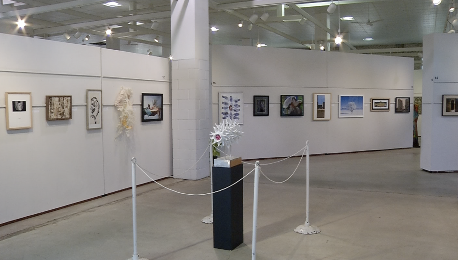 Weekend Showcase Local Artists at Minnesota State Fair Fine Art