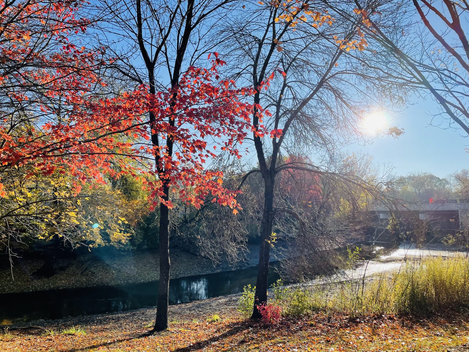 Nordic Walking at Maple Grove Arboretum