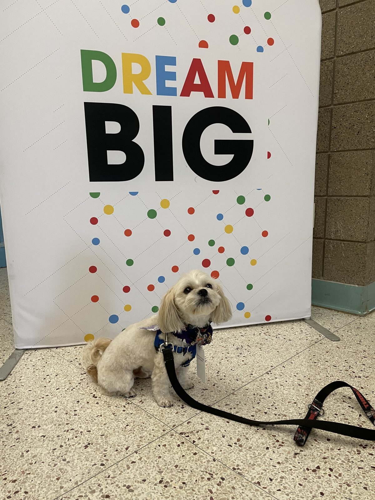 School Spotlight Basswood Elementary Builds Courage, Connection to