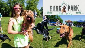 Plymouth Bark in the Park