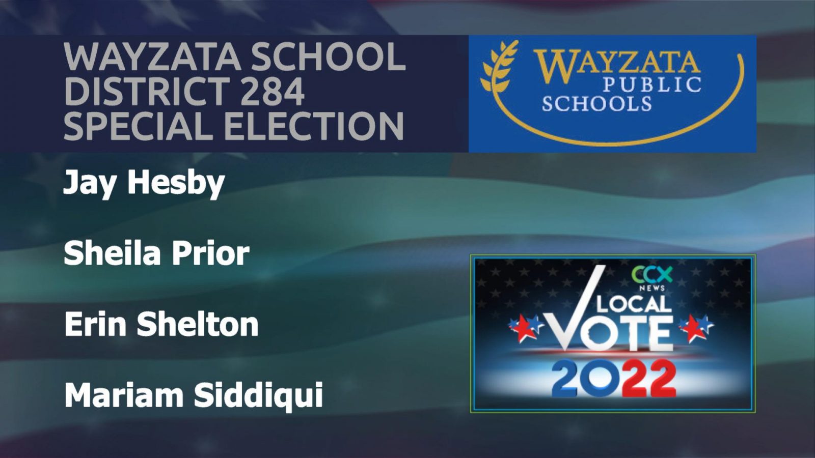 Four Candidates Running in Special Election for Wayzata School Board
