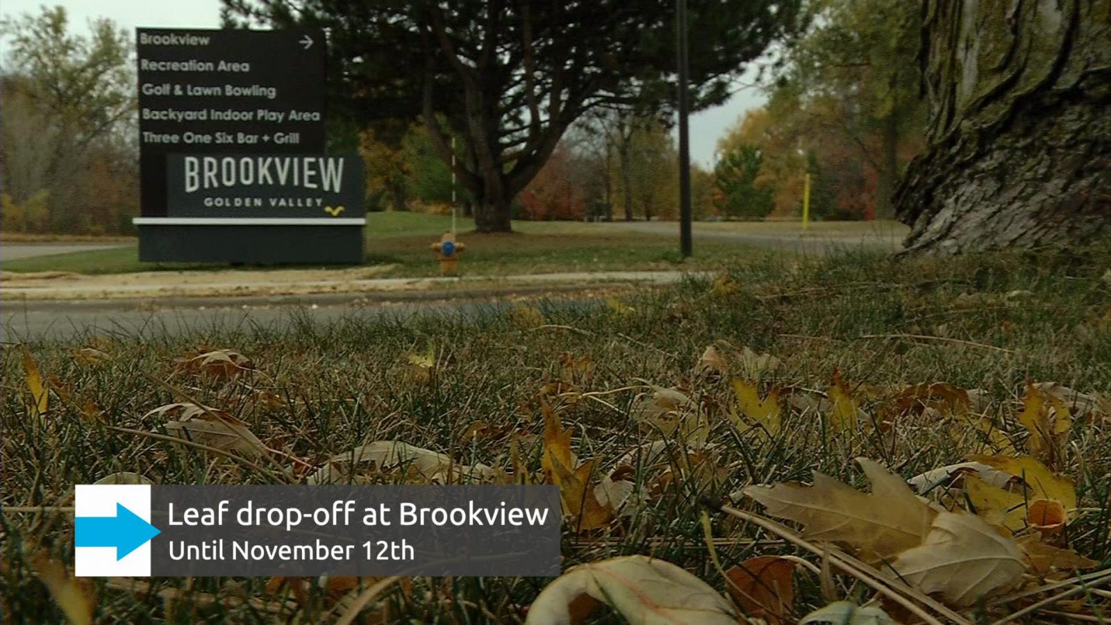 brookview leaves 