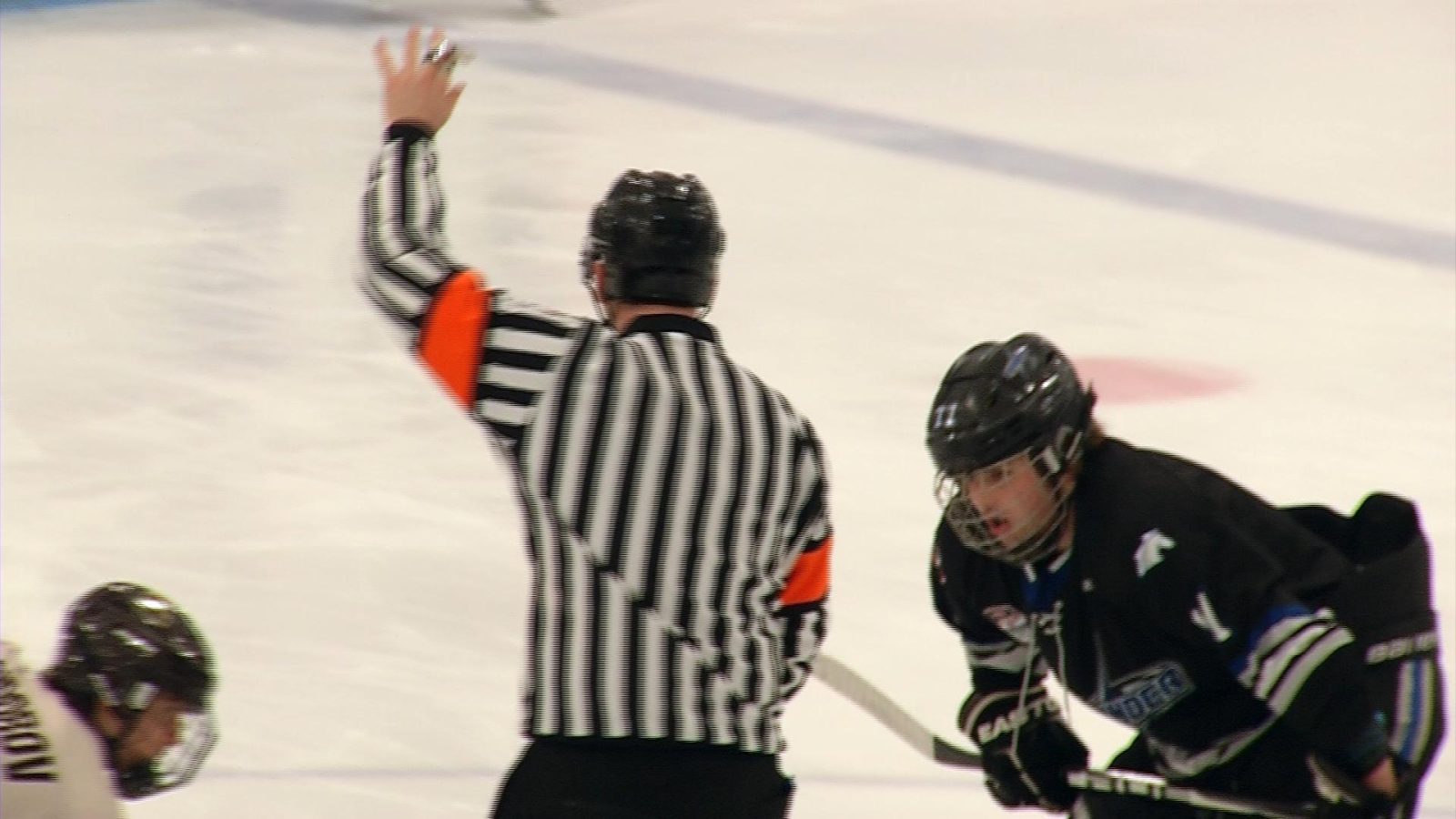 A bill in the Minnesota Senate would stiffen penalties for anyone who attacks a sports official.