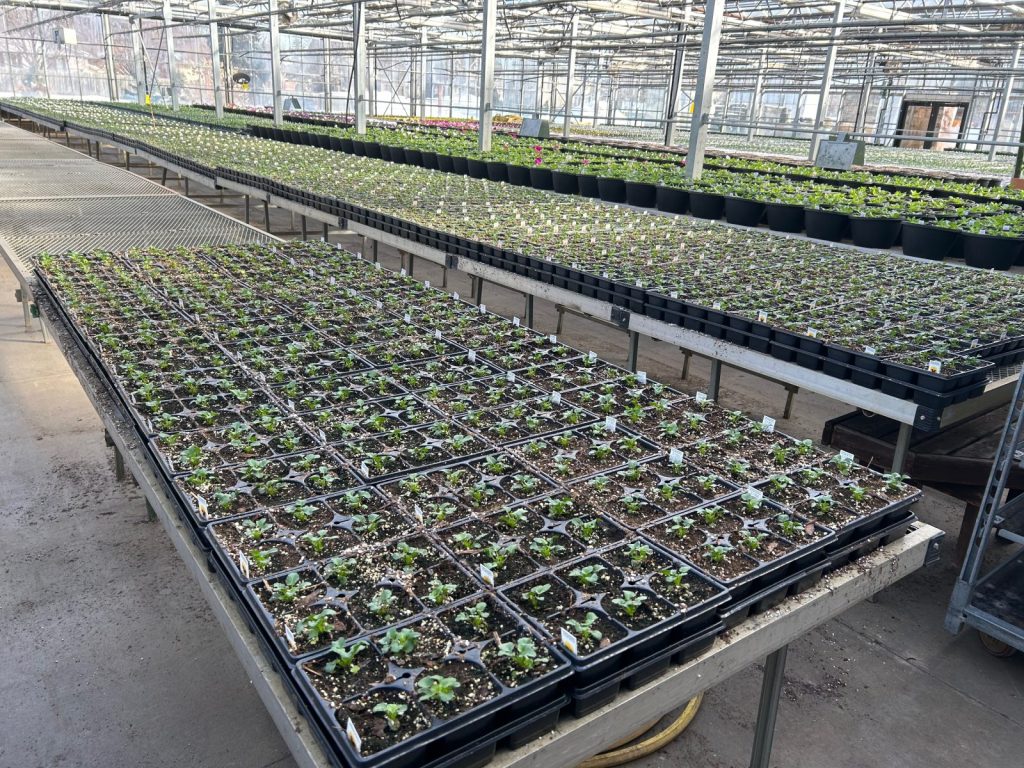 lynde greenhouse reopening 