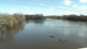 Mississippi River flood stage