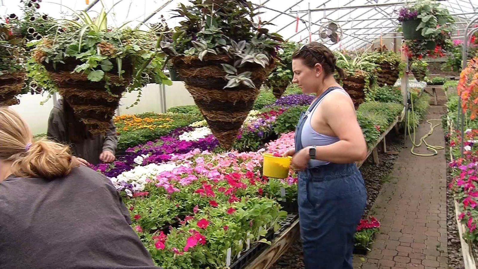 Hennepin Technical College plant sale