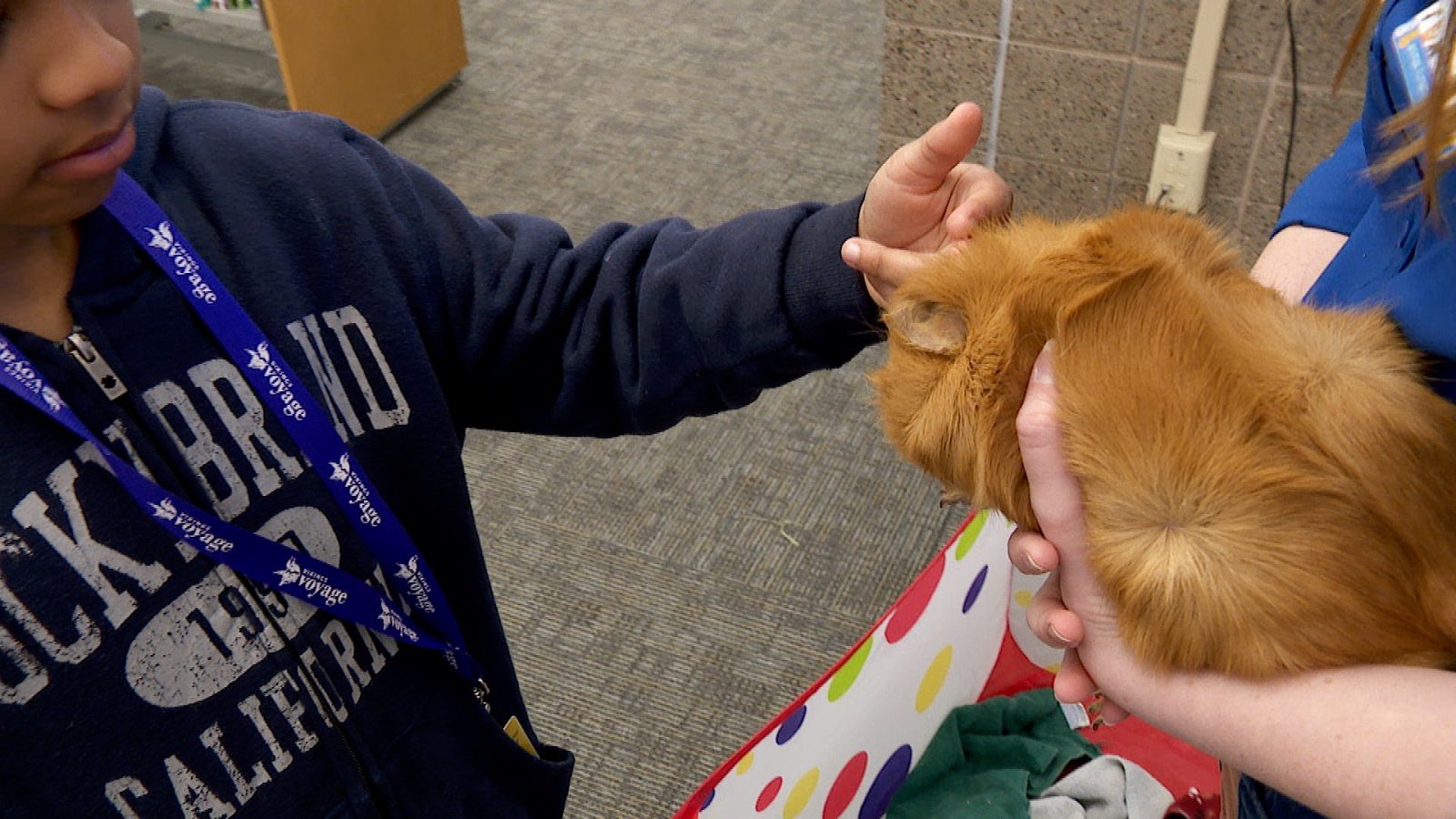 Animal Humane Society Teaches Kids About Pet Body Language