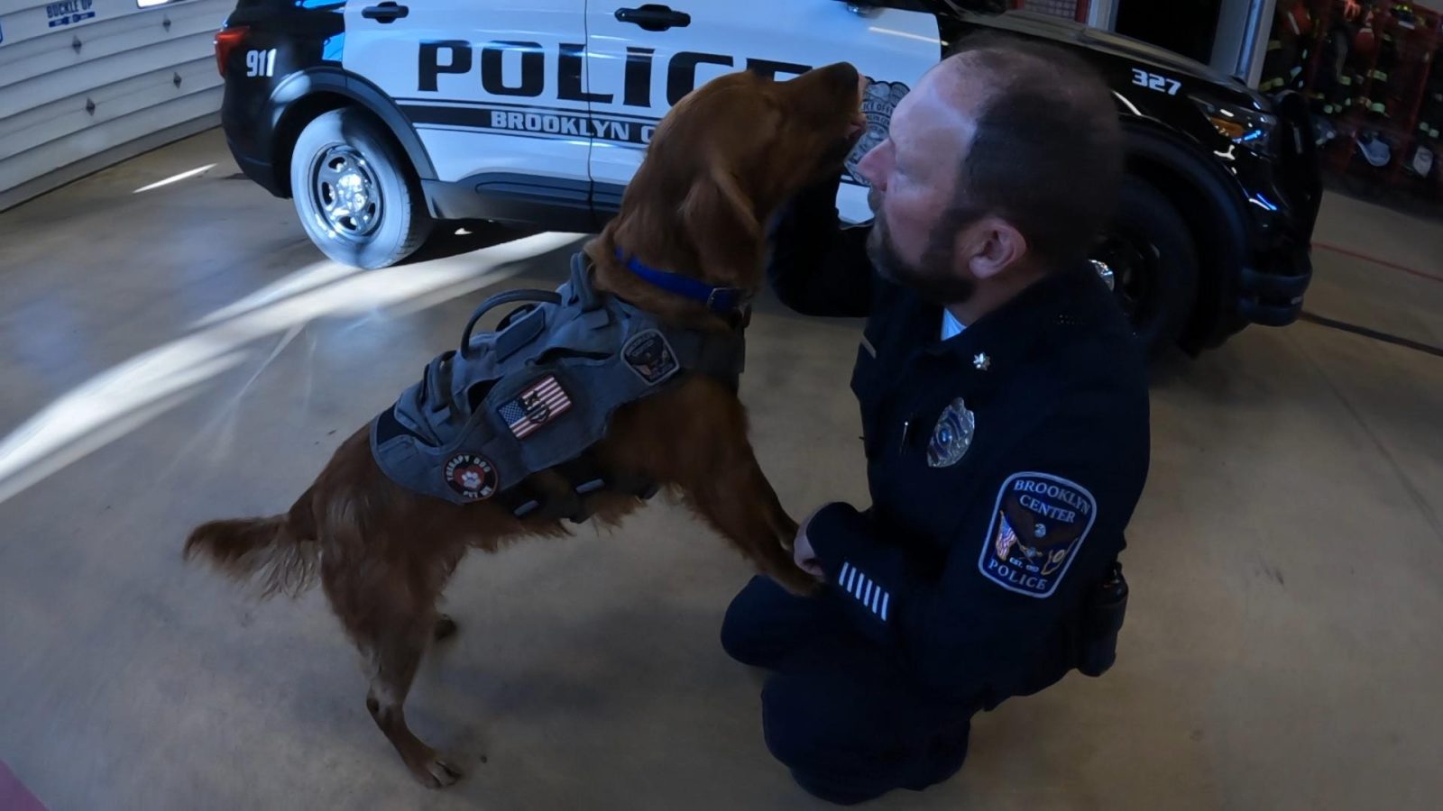 brooklyn center therapy dogs