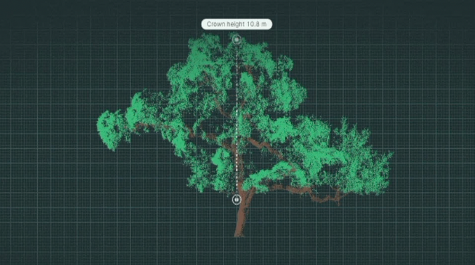 plymouth smart tree inventory