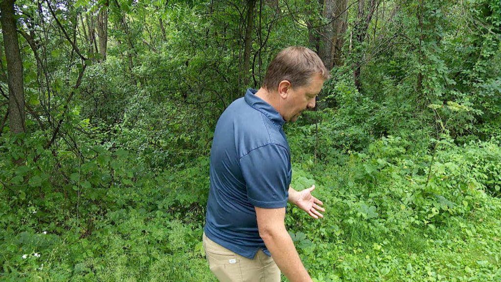 Three Rivers staff stands in nature