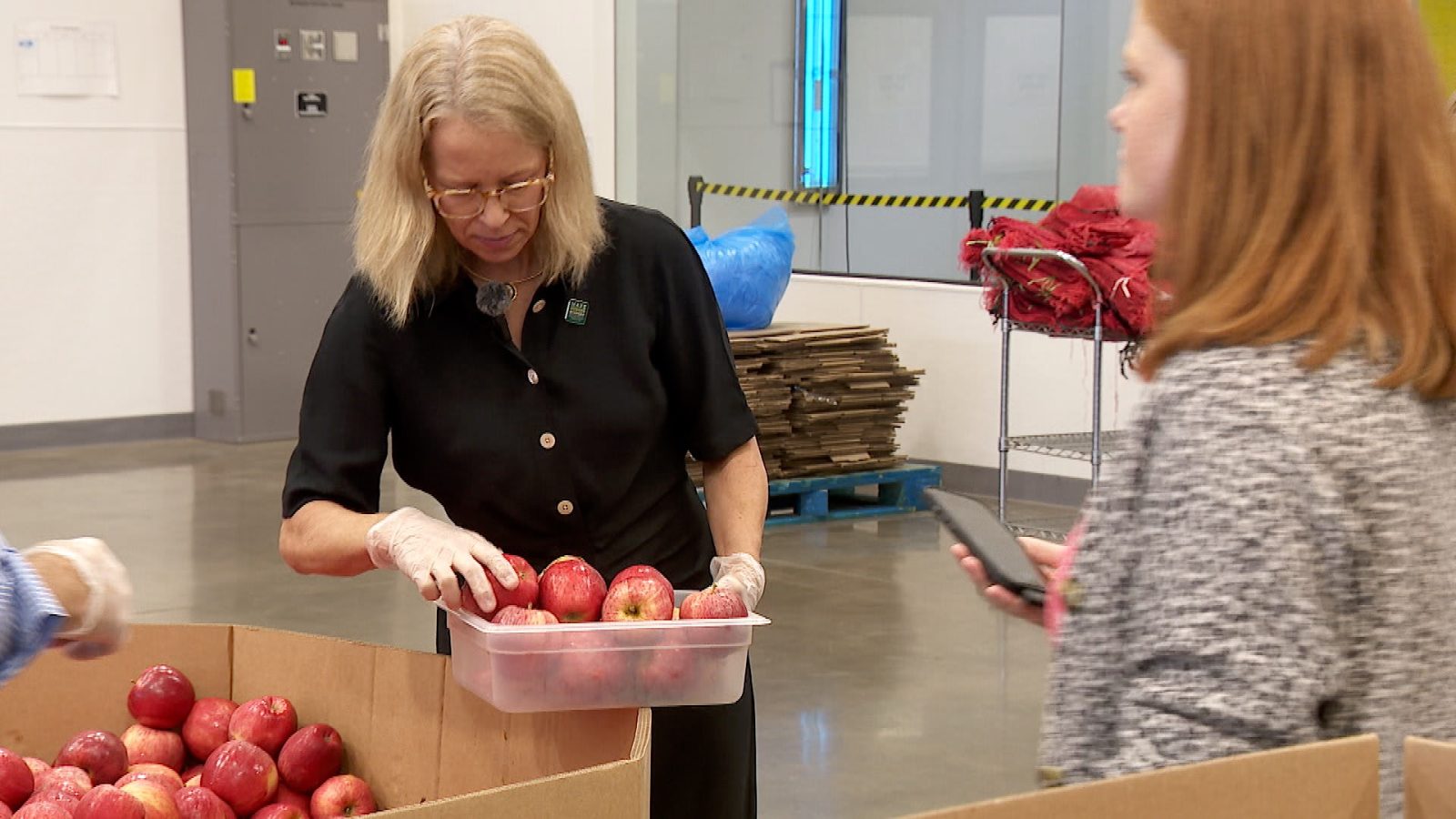 Rep. Kelly Morrison putting apples into a container