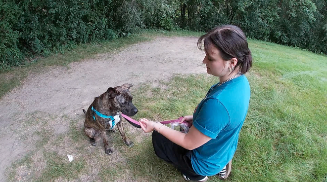 woman with a dog on a leash