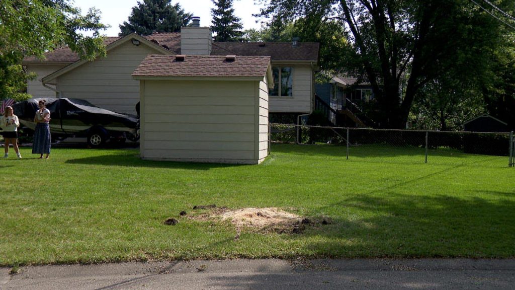 What remains of a trunk in a lawn