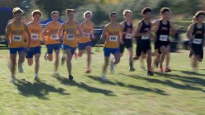 Wayzata boys lead the pack at the Section 6AAA meet on October 22, 2025