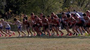Runners set for the start of the Lake Conference boys varsity race on October 8, 2025
