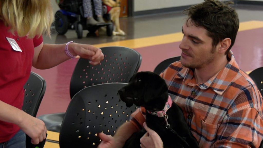 Man holds black lab puppy