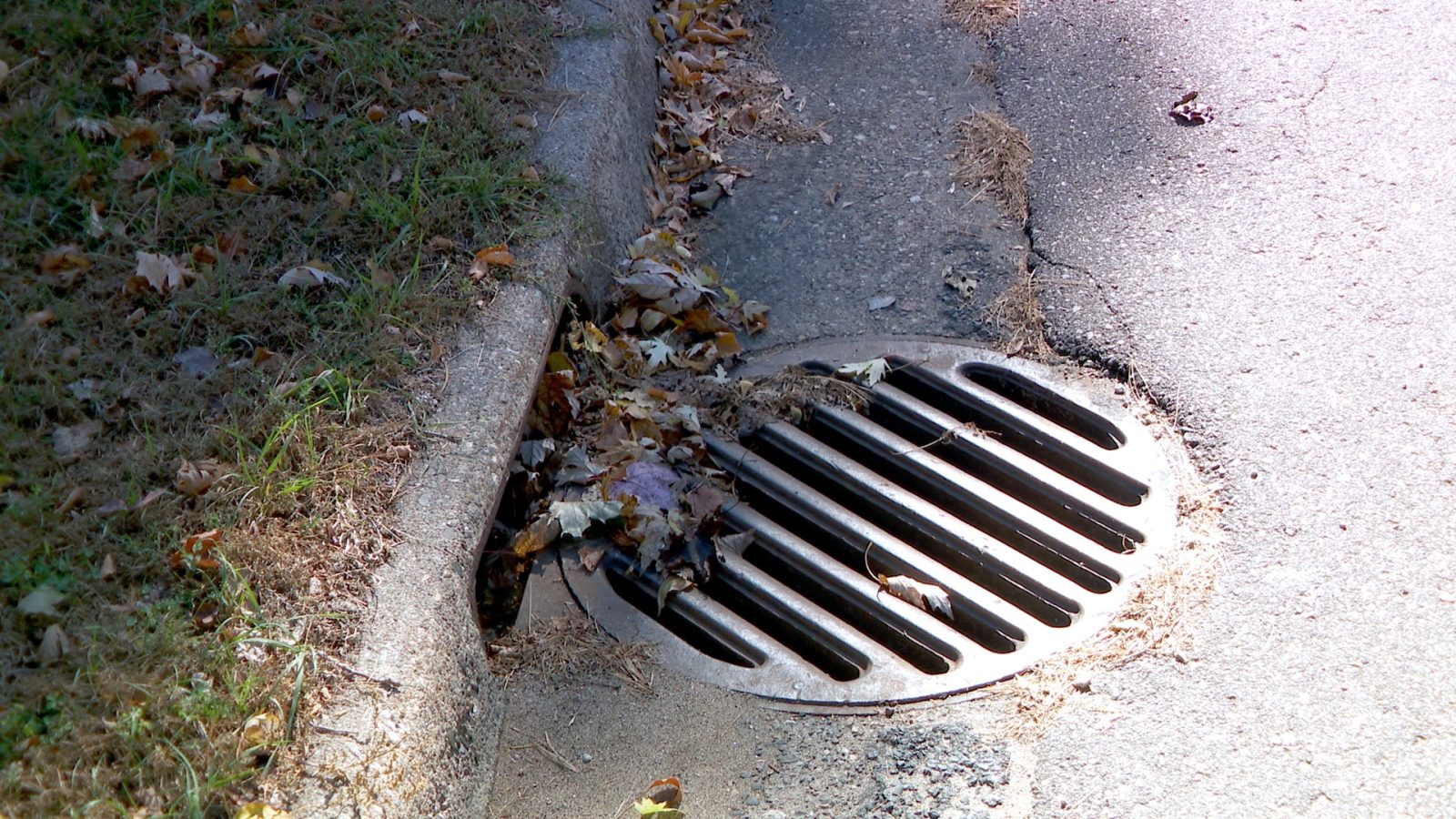 a storm drain with some leaf litter on a neighborhood street