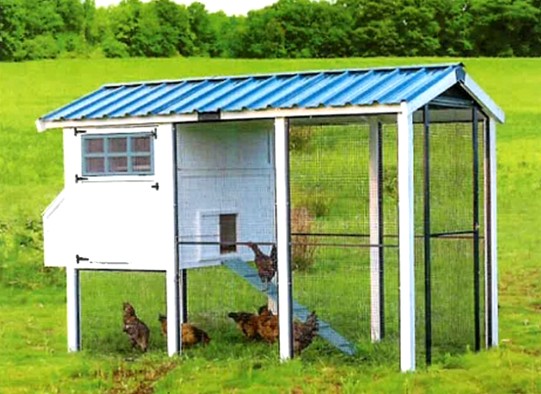 Chicken coop