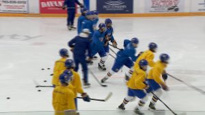 Wayzata boys hockey practice- skating