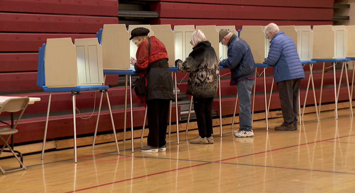 voters stand at voting both