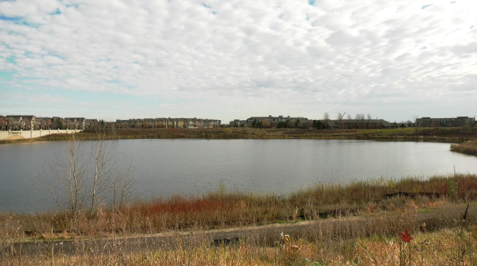 north arbor lake in maple grove