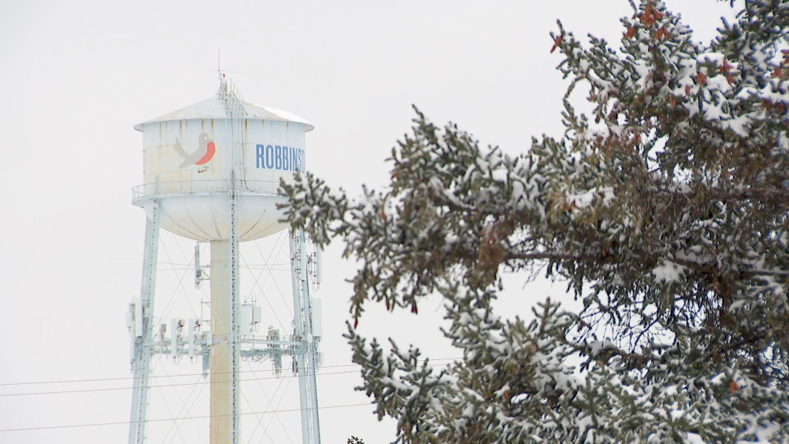 snowy scene of a water tower and a tree