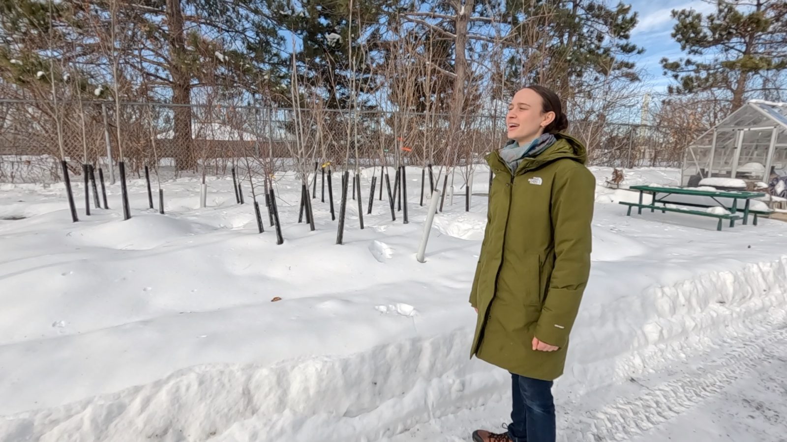Woman standing in a snowy field