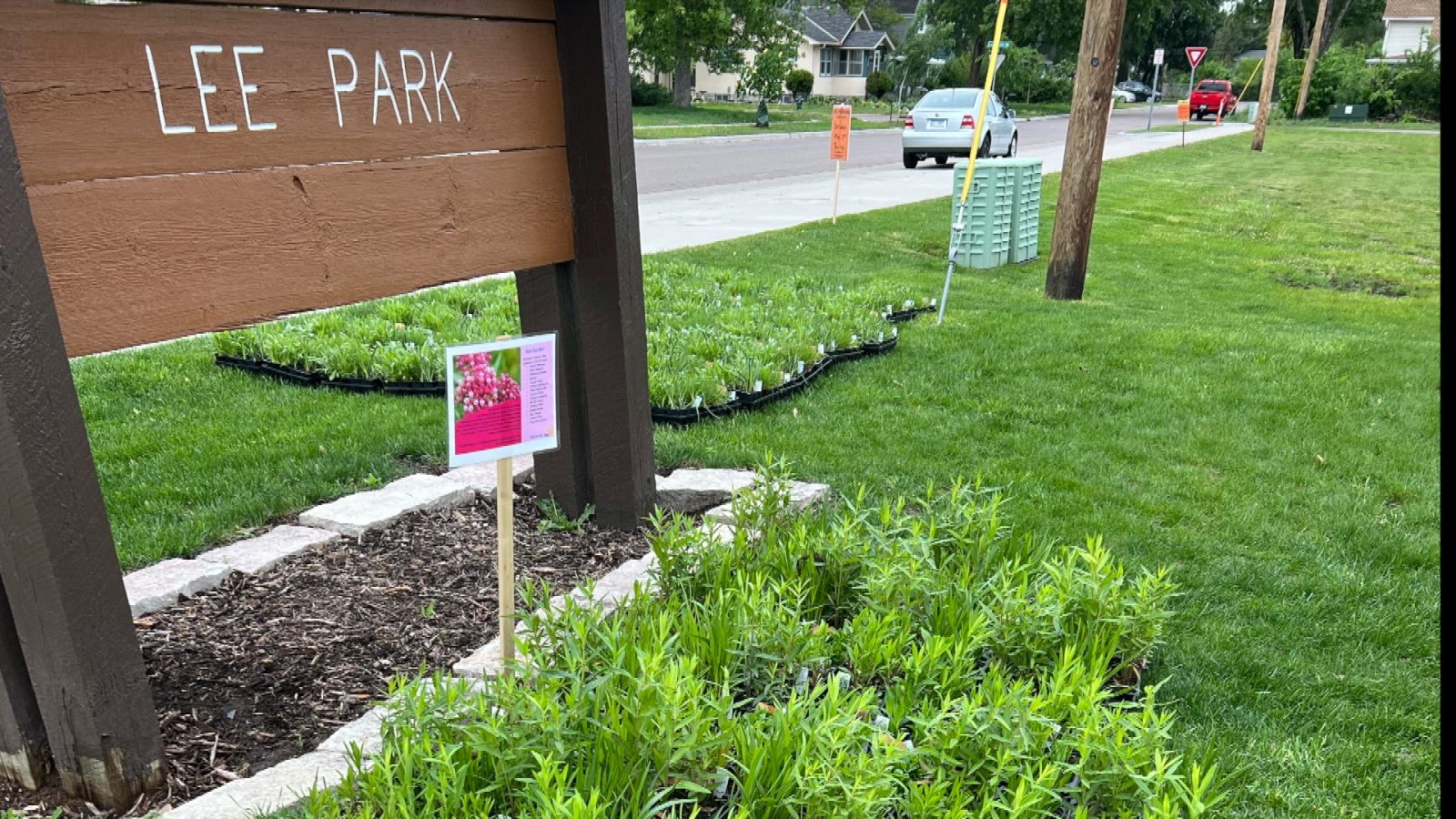 native plant specimens out for pick-up at a city park