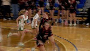 Mayer Lutheran girls basketball beats West Lutheran 64-45