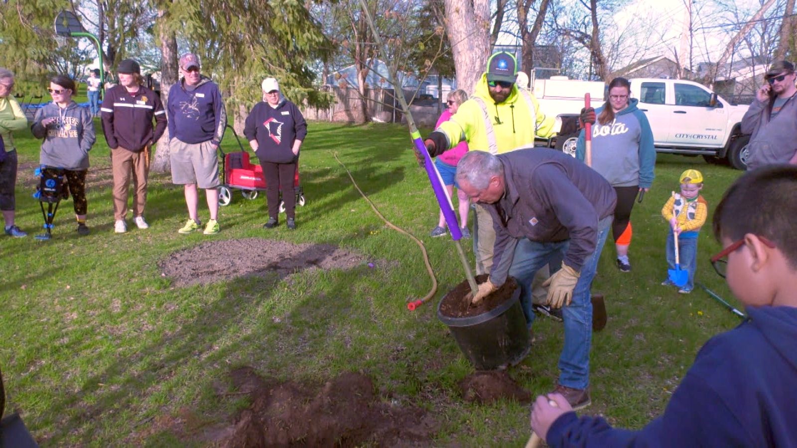 a man plants a tree at a park