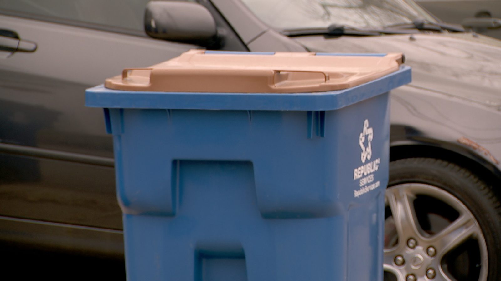 yard waste bin
