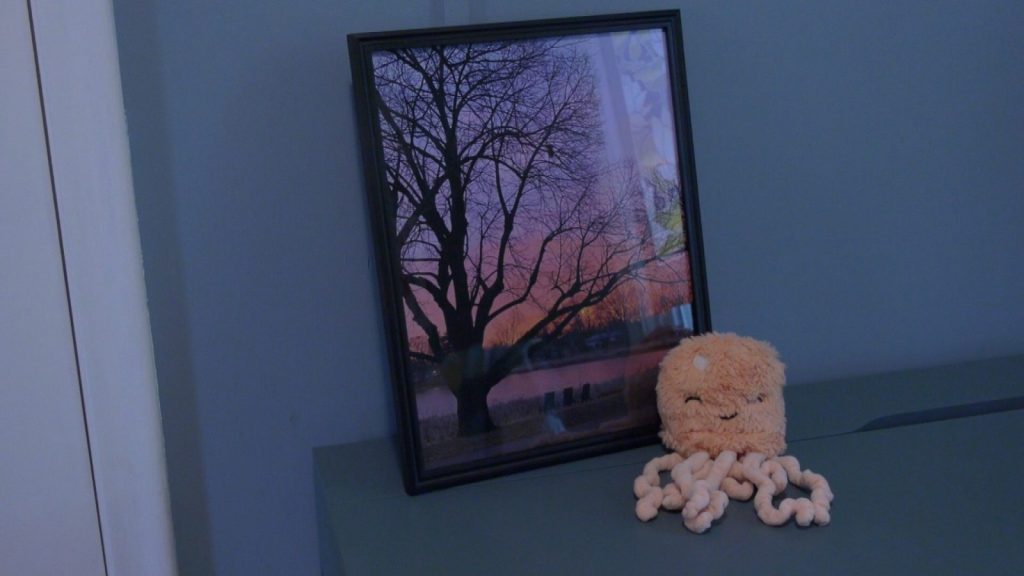 salmon sunset photo and a stuffed jellyfish toy
