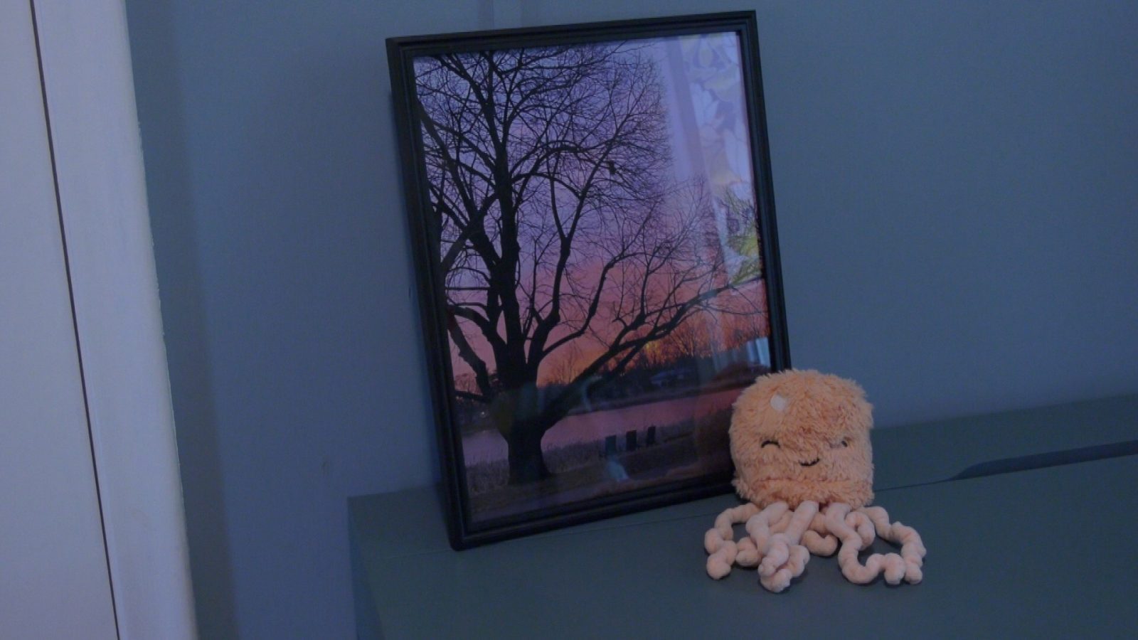 Nurse Who Cared for Terminally Ill Child Soothes with “Salmon Sunset”