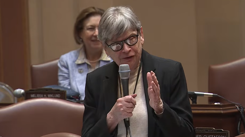 Sen. Ann Rest farewell speech