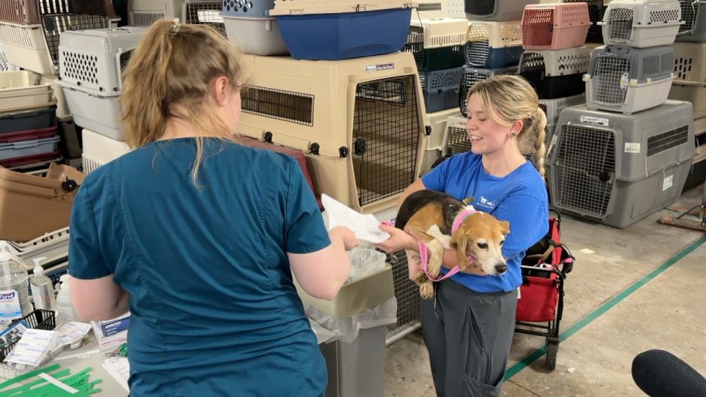 woman in scrubs handing paperwork to a woman holding a beagle