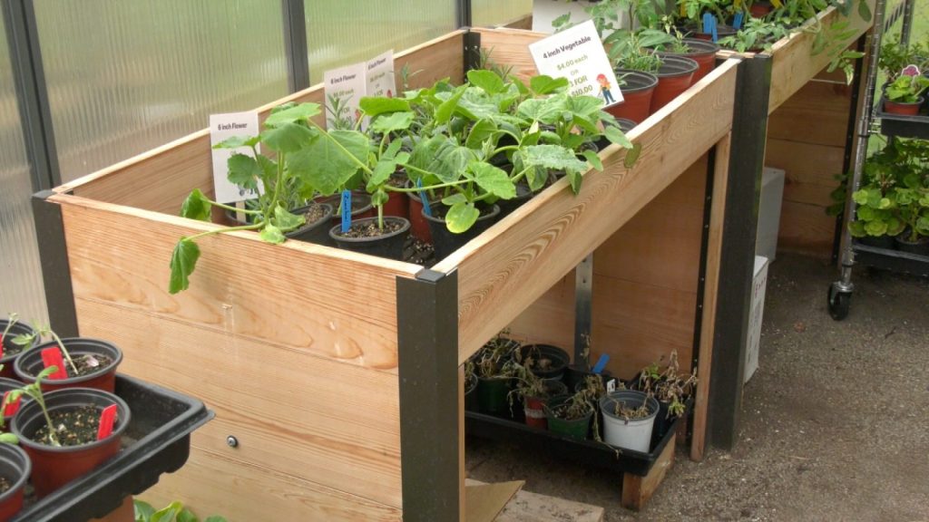 Osseo Education Center (OEC) plant sale