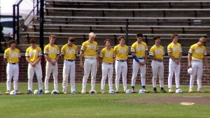 Wayzata Legion baseball